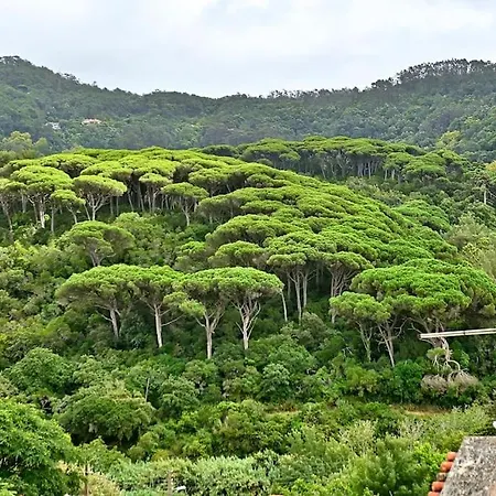 Appartement Casa Nozes - Hills 2 Sintra